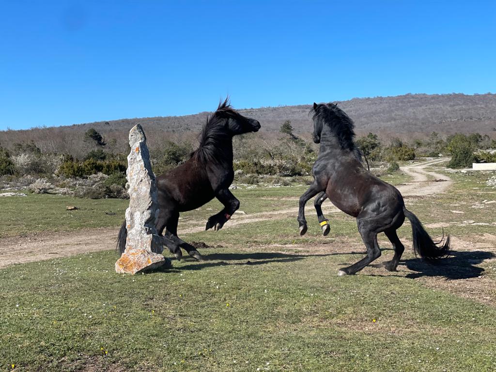 WhatsApp Image 2024-08-24 at 12.44.26 (1)