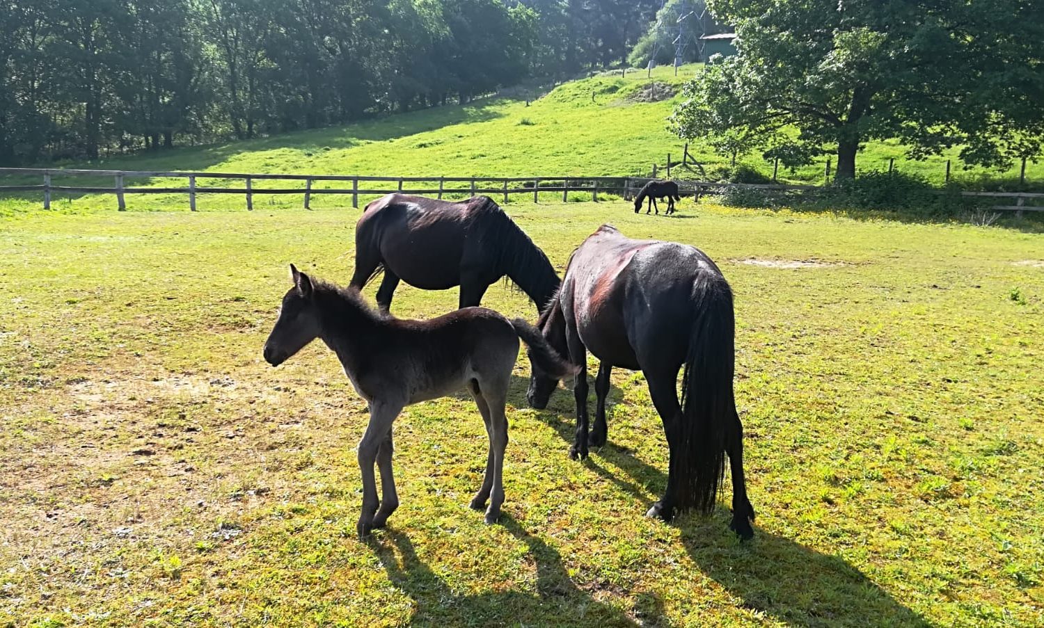 WhatsApp Image 2024-08-24 at 12.44.26